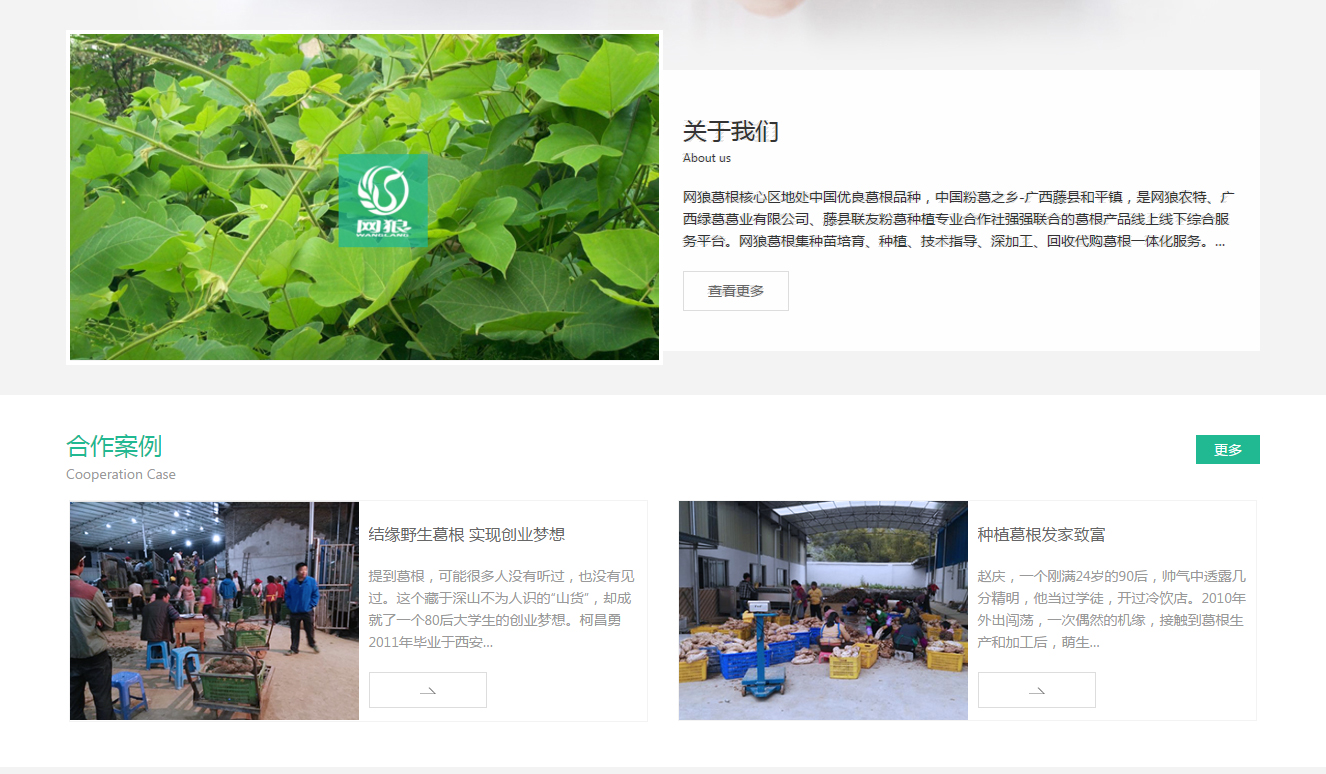 中山网页设计